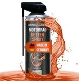 WerkXheld Drosselklappenreiniger Diesel – 400 ml Variante 2