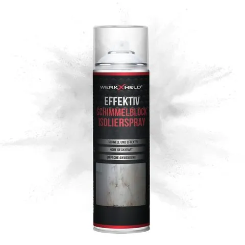 WerkXheld Weiße Ausbesserungsfarbe als Spray 500ml